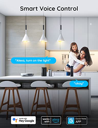 Smart WiFi Plugs with Voice Control & Timer