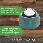 Gaiam Restore 360° Muscle Roller Massager