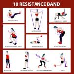 LEKEY Resistance Bands Set with Handles and Anchor