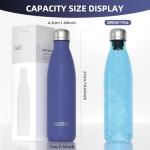Watersy 17oz Insulated Stainless Steel Water Bottle