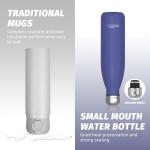 Watersy 17oz Insulated Stainless Steel Water Bottle