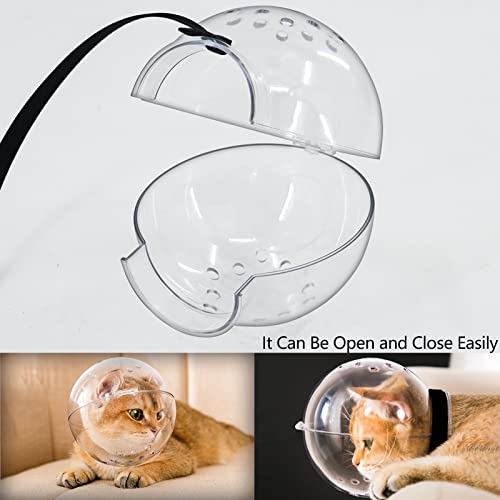 Muzzle for Cats - Transparent, Breathable, Adjustable