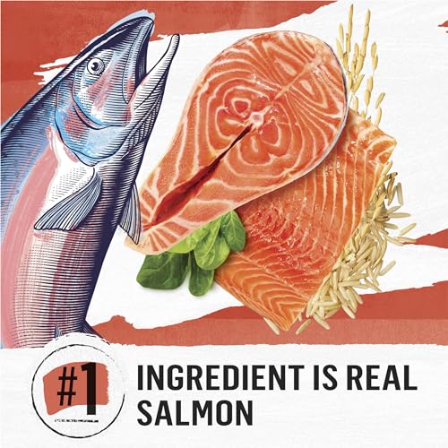 Natural Salmon Cat Food - 3lbs