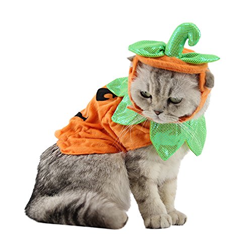 Cat Halloween Hat and Cloak Set
