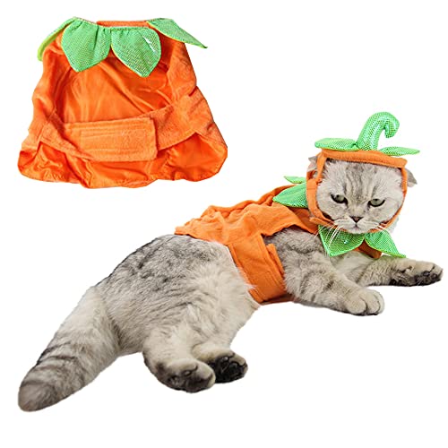 Cat Halloween Hat and Cloak Set