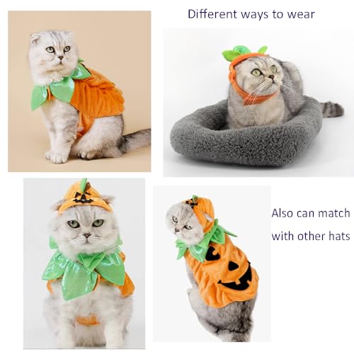 Cat Halloween Hat and Cloak Set