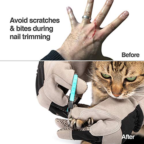 PetFusion All-Purpose Pet Glove: Groom, Vet, Surive