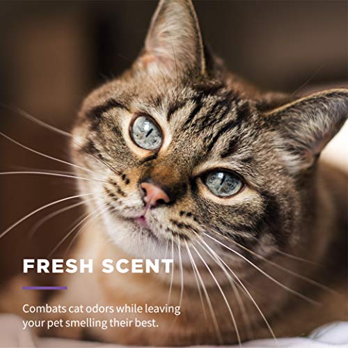 Freshening Multipurpose Wipes for Cats with Aloe Vera