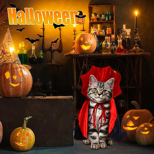 Halloween Cat Cape Costume for Small Medium Cats