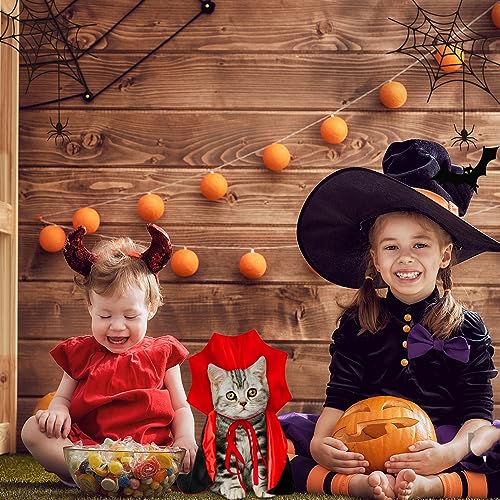 Halloween Cat Cape Costume for Small Medium Cats