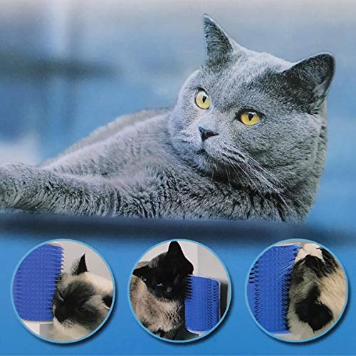 2 Pack Catnip Corner Massage Brush for Cats