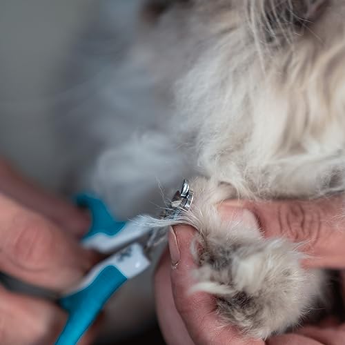 Mr. Pen: Cat & Kitten Nail Clipper