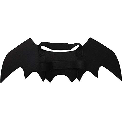 Halloween Bat Wings for Cats & Kittens