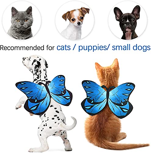 Halloween Costume Wings for Cats - Blue