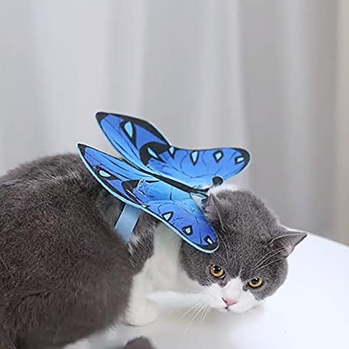 Halloween Costume Wings for Cats - Blue