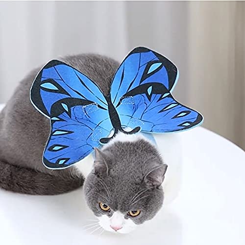 Halloween Costume Wings for Cats - Blue