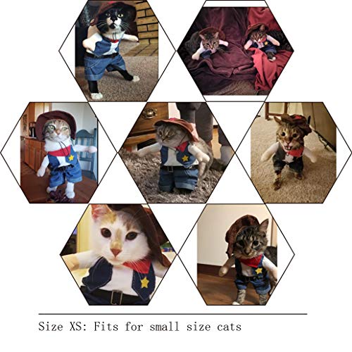 Cowboy Dog Costume with Hat - Blue