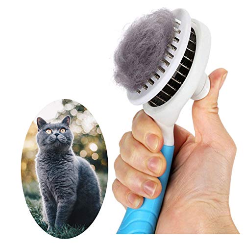 Self Cleaning Cat Grooming Brush - Blue