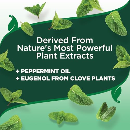 Vet's Best Tick & Flea Spray - Natural Protection - 8 oz