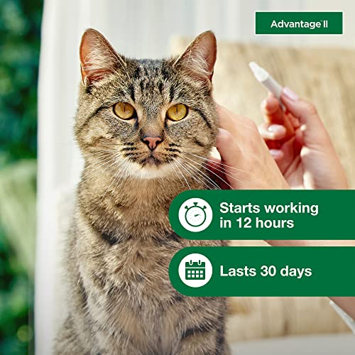 Advantage II Large Cat Flea Treatment | 4-Month Supply