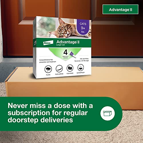 Advantage II Large Cat Flea Treatment | 4-Month Supply