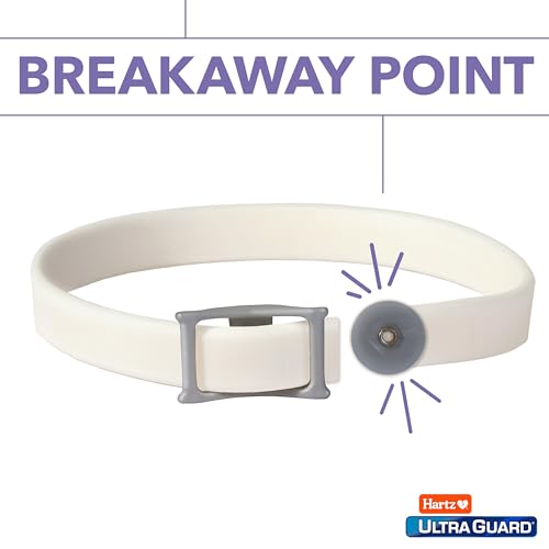 Hartz UltraGuard Cat and Kitten Collar, White