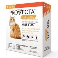 Provecta Advanced: Orange Solution for Cats Over 9 Lbs