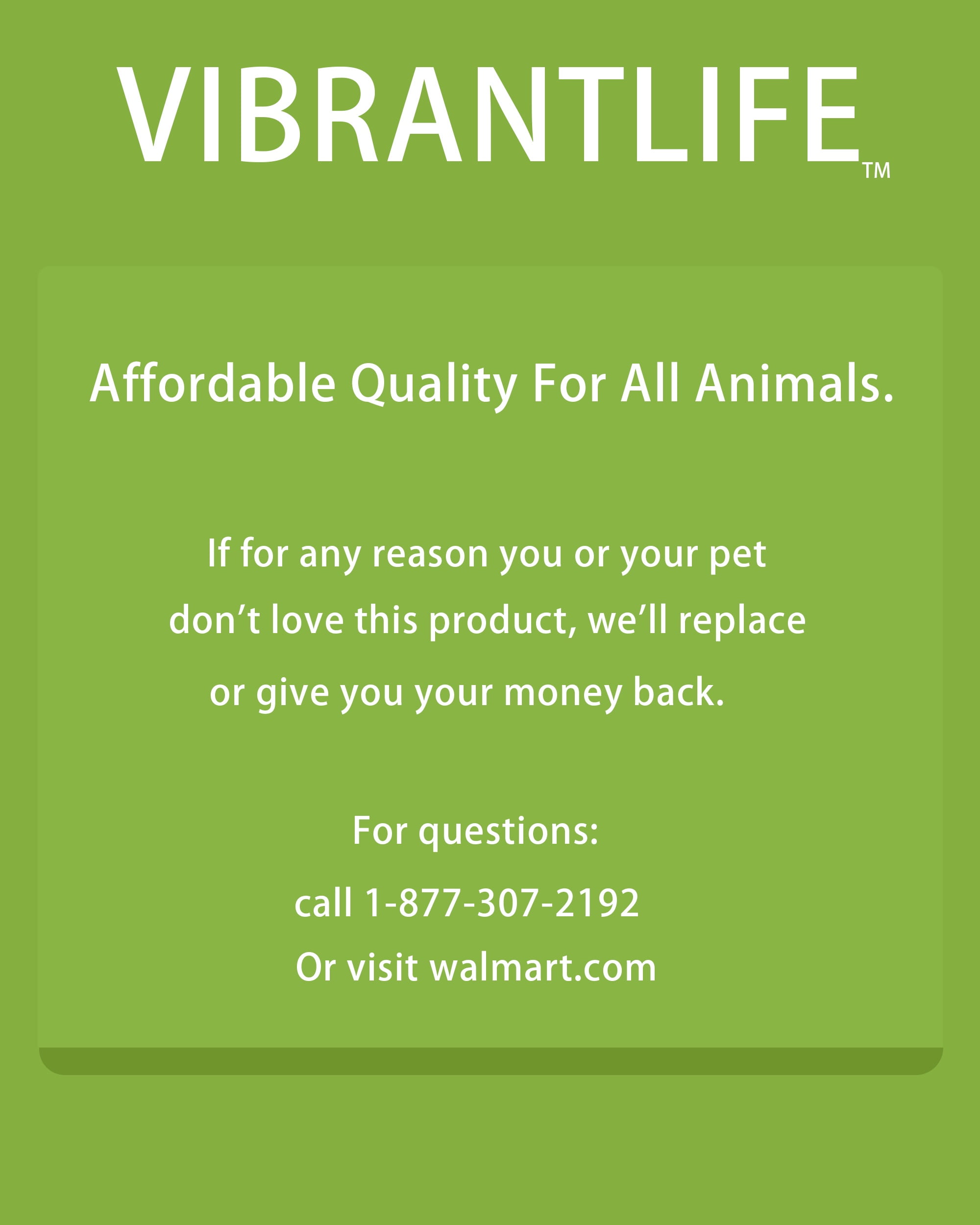 Cactus Cat Scratching Post with Toy