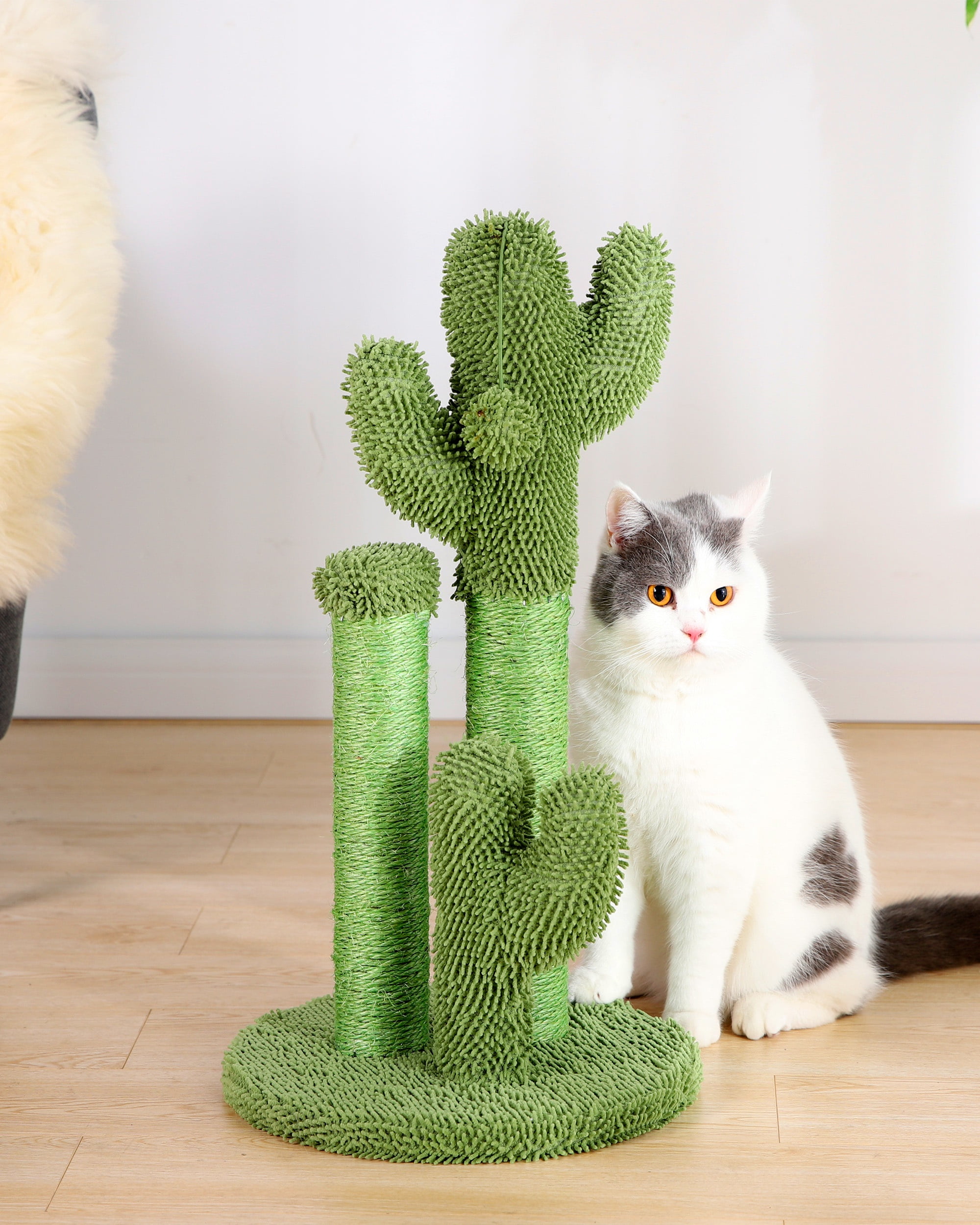 Cactus Cat Scratching Post with Toy