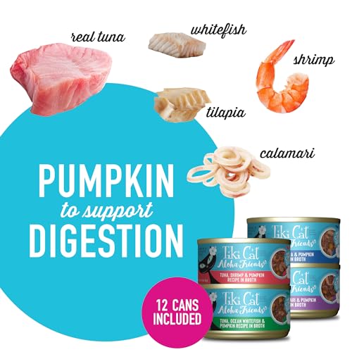 Tiki Cat Variety Pack - 4 Flavors - 12 Cans