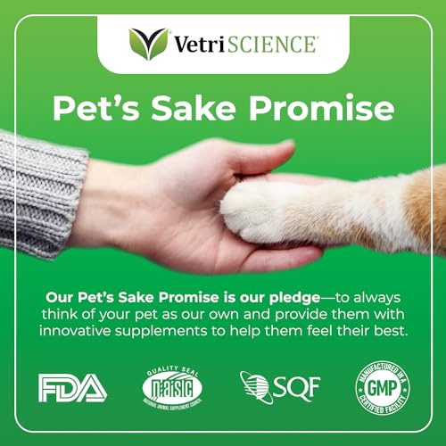VETRISCIENCE Crunchy Teeth Cleaning Treats for Cats