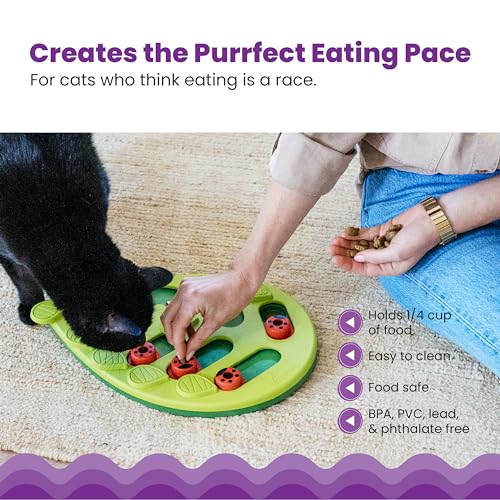 Interactive Cat Treat Puzzle by Petstages