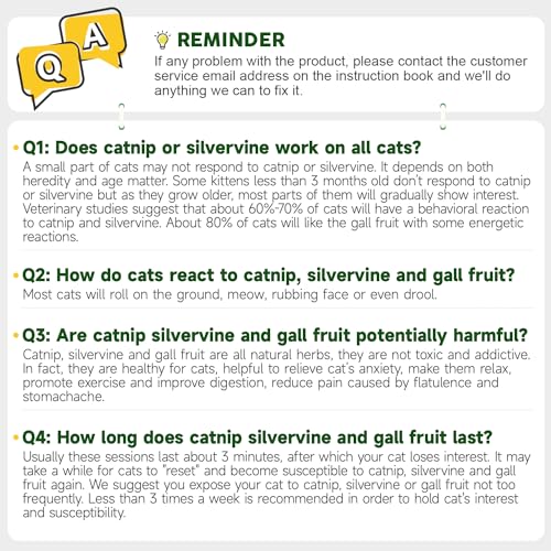 Cat Energy Balls and Toys Set (Green)