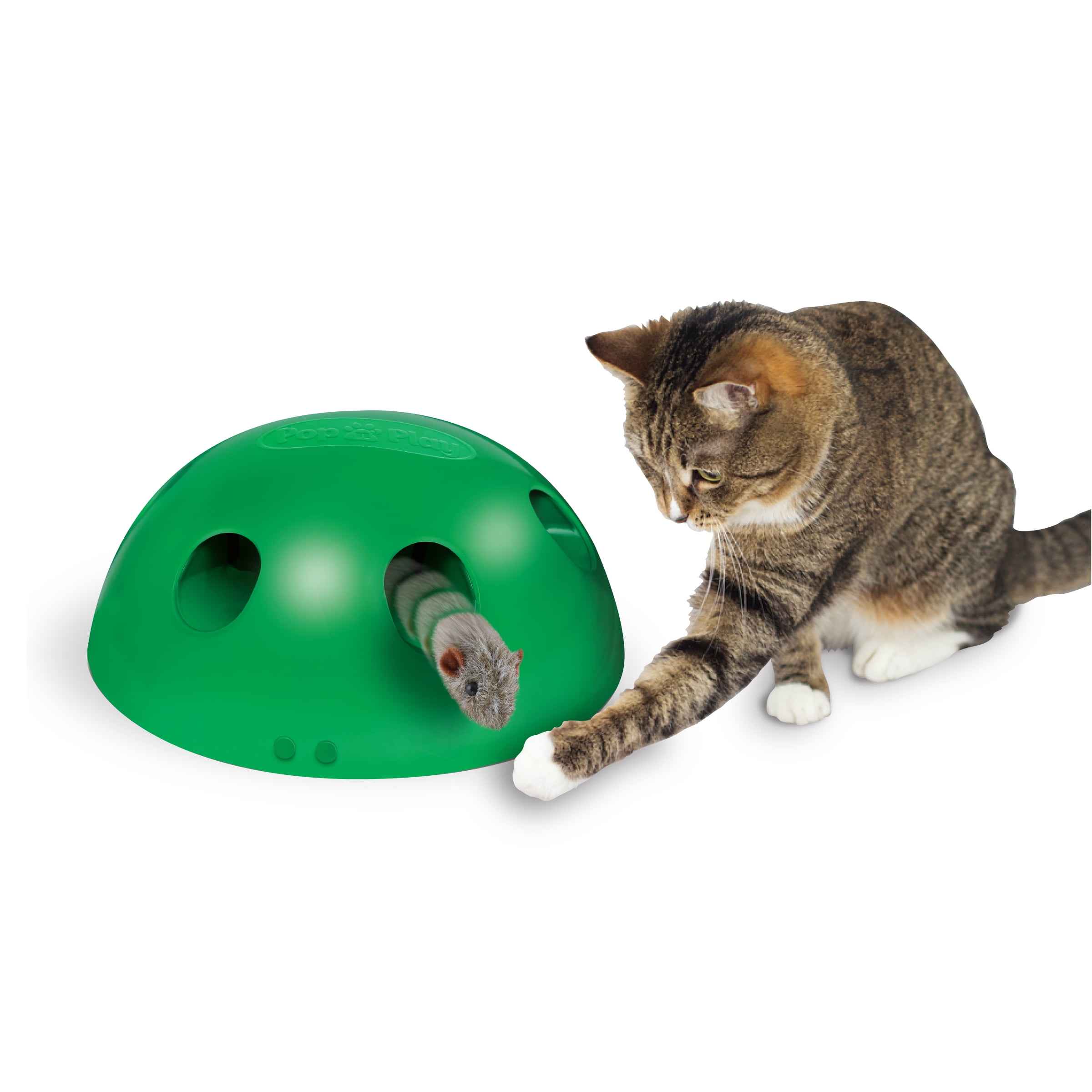 Green Cat Toy Peek-A-Boo Pets Know Best