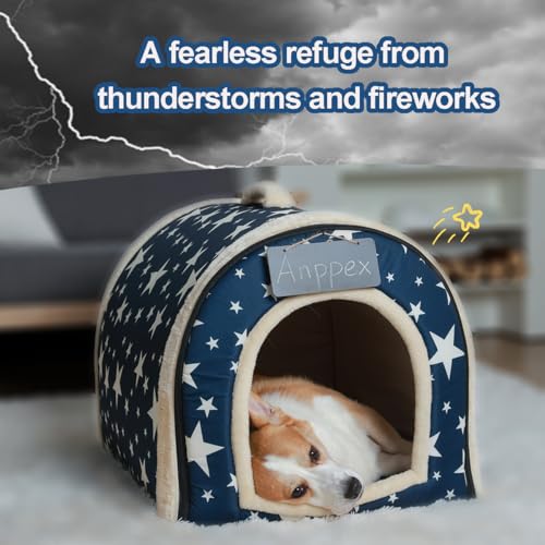 Portable 2-in-1 Cozy Cat Igloo Bed