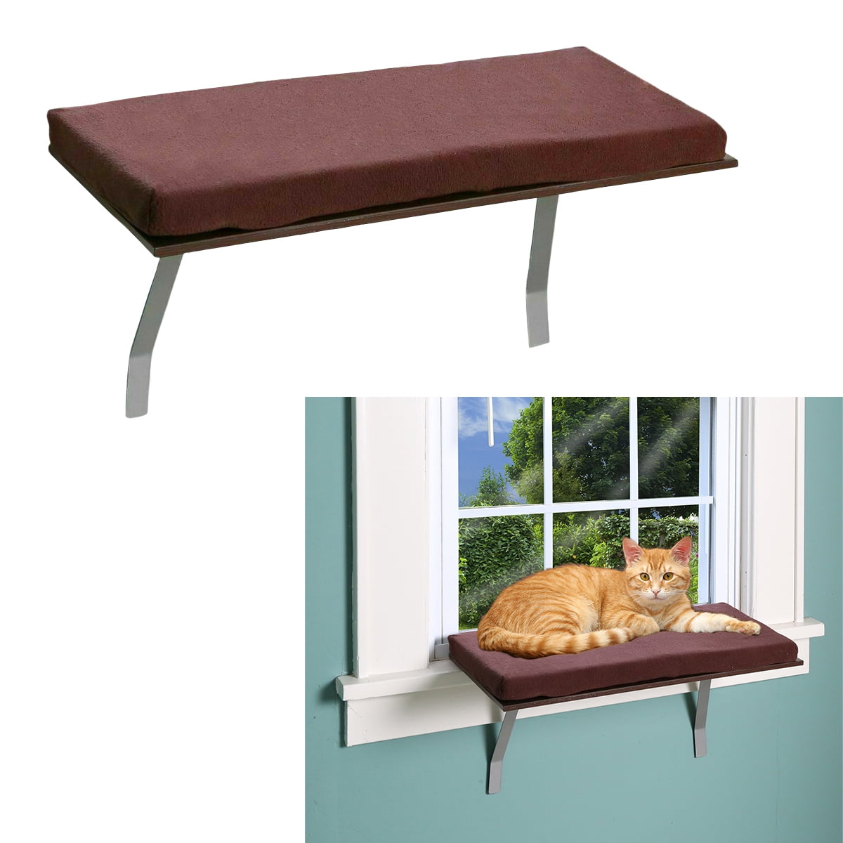 Window Perches