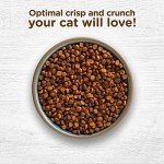 Natural Chicken & Rice Cat Food