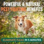 TropiClean Natural Flea Spray - Maximum Strength, 32oz