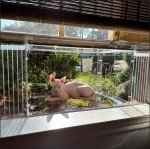 Window Catio - Custom Fit (24"-36")