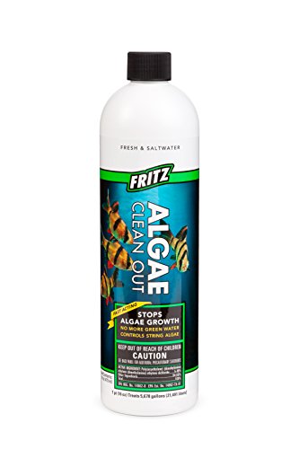 Fritz Aquatics 16-Ounce Algae Clean Out