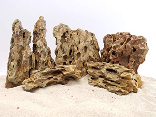 Aquascaping Dragon Ohko Rock Kit – Aquatic Decor