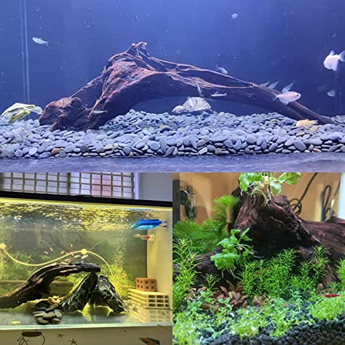 Large Natural Driftwood Aquarium/Fish Tank Decor