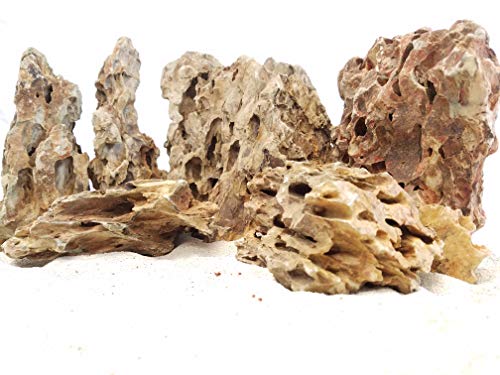 Aquascaping Dragon Ohko Rock Kit – Aquatic Decor