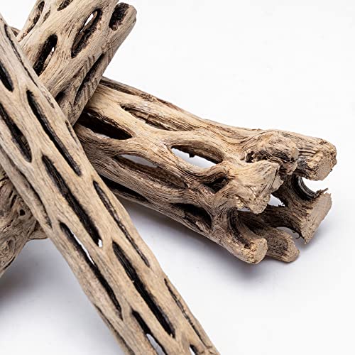 Cholla Wood Logs for Aquatic Pets - Pack of 3