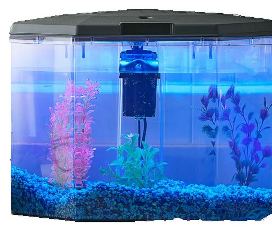 6.5-Gallon Semi-Hex Aquarium Kit with LED Lighting