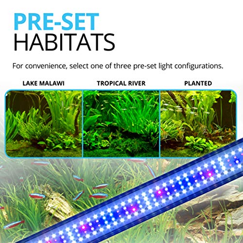 Fluval Plant 3.0 LED Light for Freshwater Aquariums