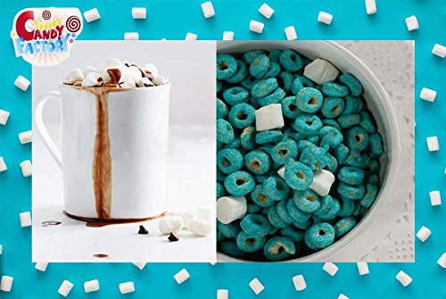 Sarah's Candy Factory Mini Dehydrated Vanilla Marshmallows