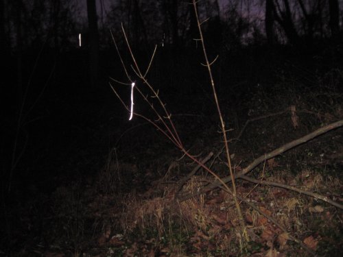 Cole Reflective Trail Markers - 40 Pack