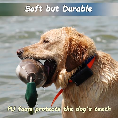 2 Pack Duck Bumper Toys for Dog Training