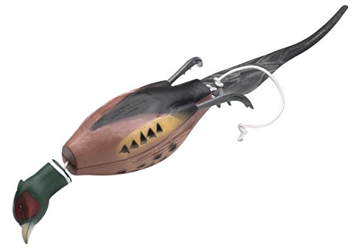 Dokken Pheasant Dead Fowl Training Decoy